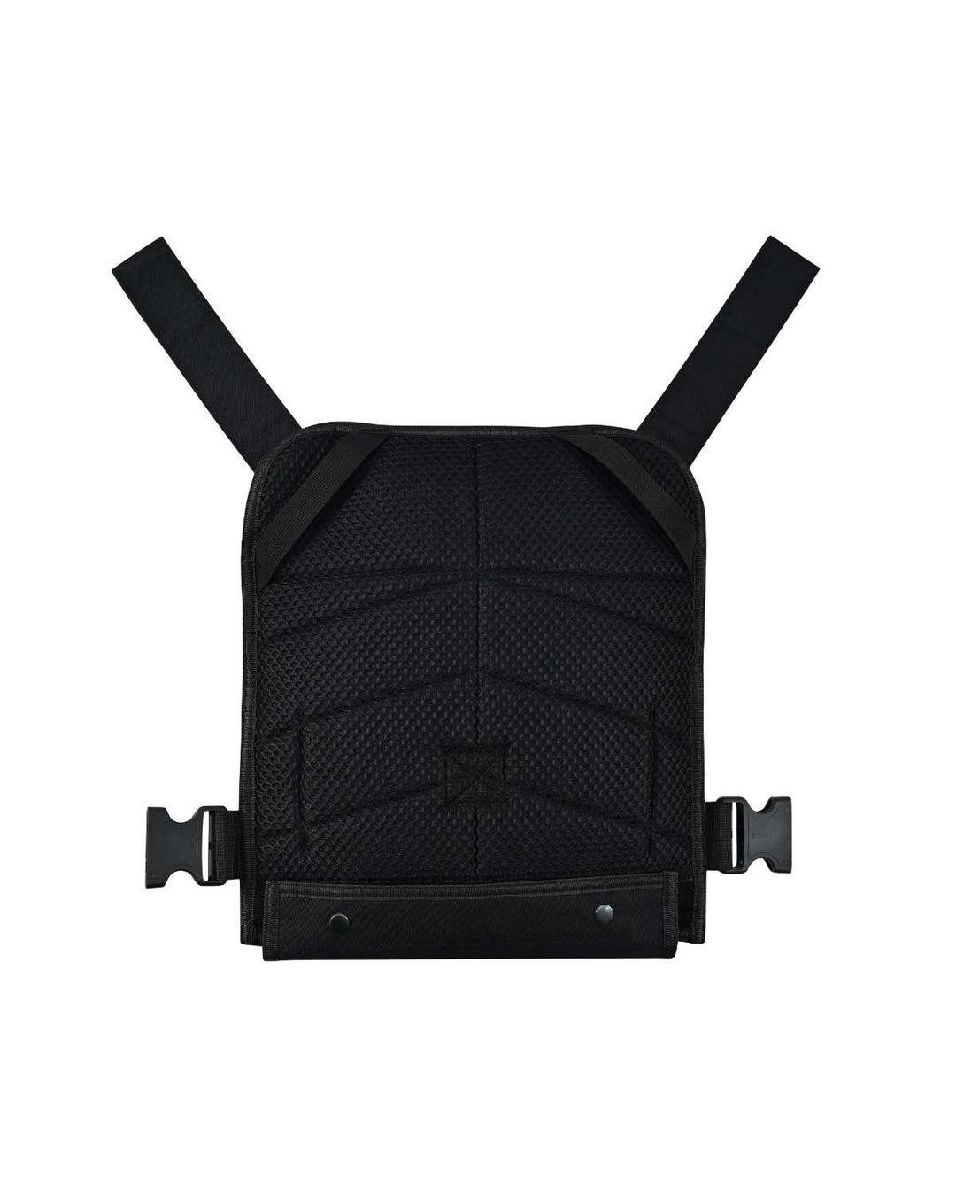 Dual Guard Plate Carrier - Protection for Both Panel Sizes